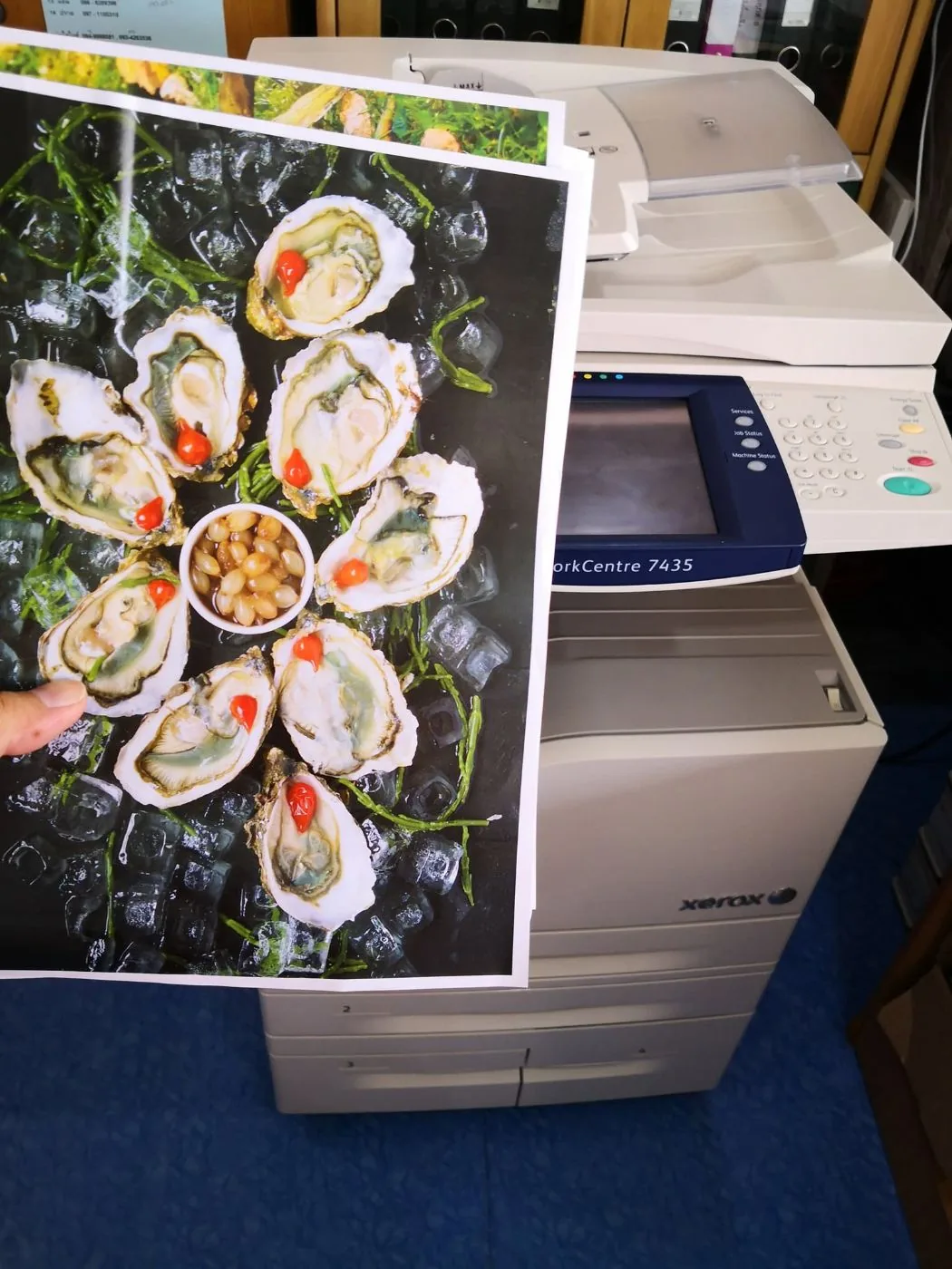 ทดสอบคุณภาพงานพิมพ์สีจากเครื่องถ่ายเอกสาร Xerox ก่อนส่งมอบให้ลูกค้า